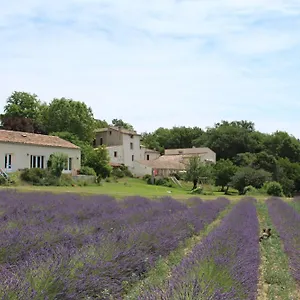 Les Anes De Affittacamere Forcalquier